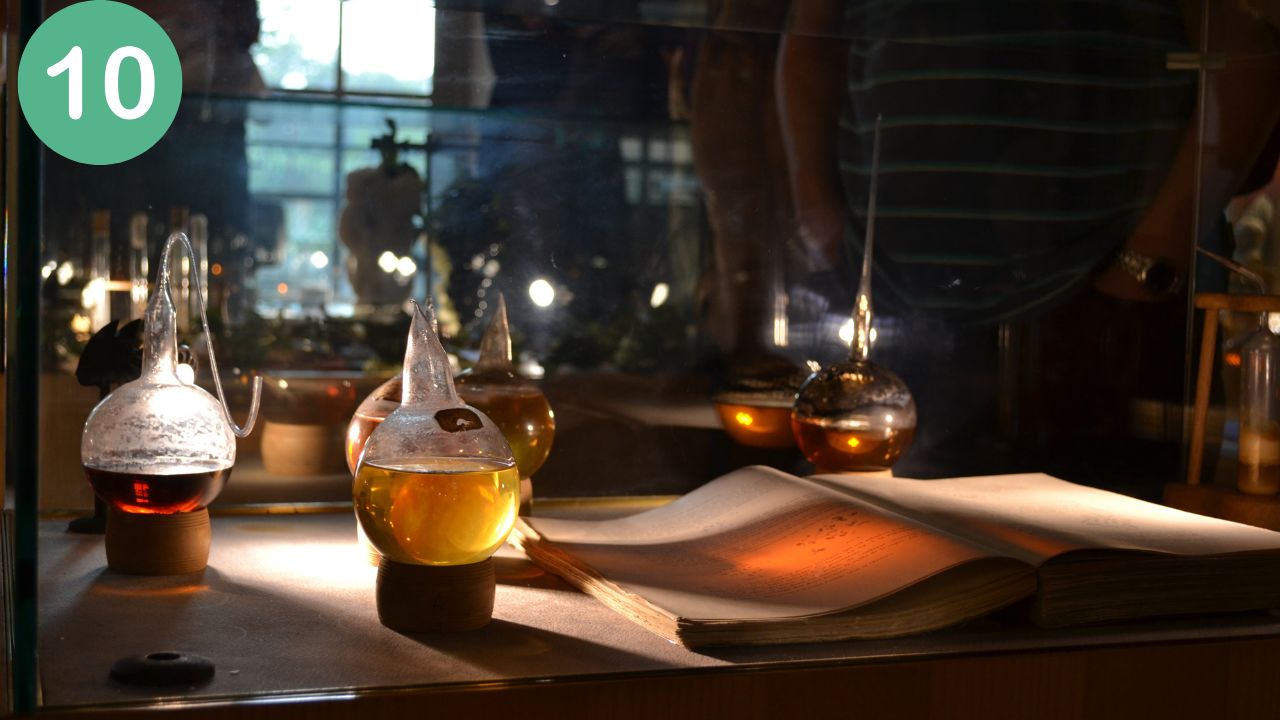 Class 10 – Complete CBSE Exam Prep (All Subjects)